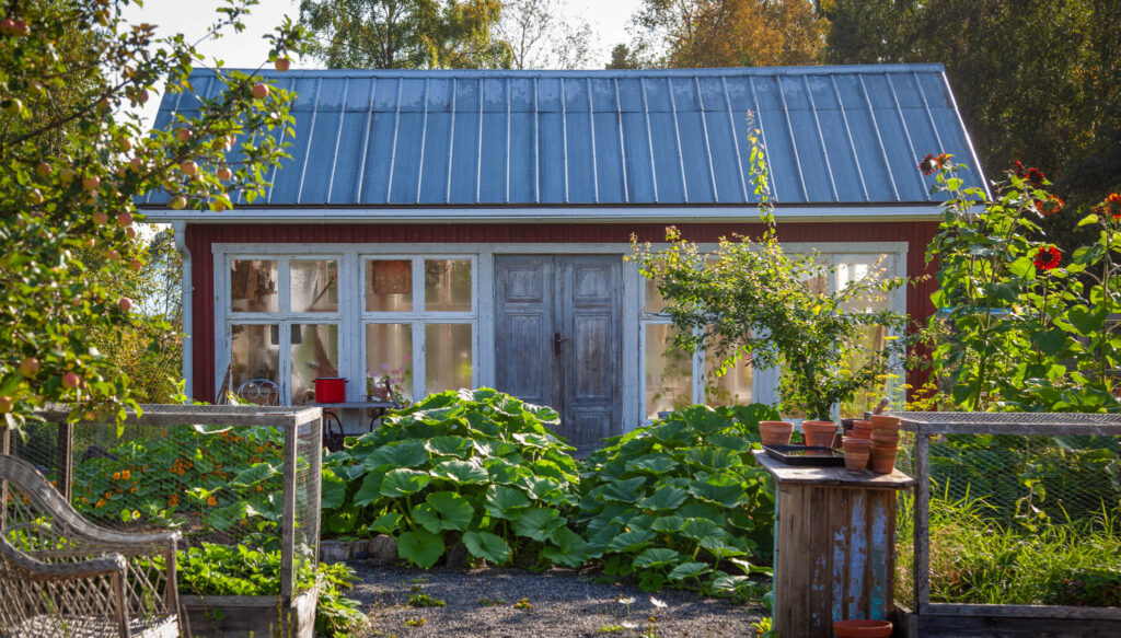 Lummig trädgård med liten insats