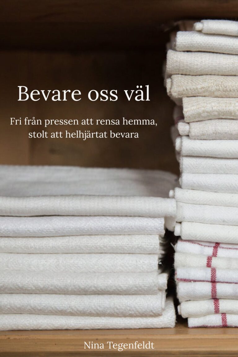 Bevare oss väl e-bok